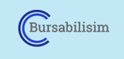 (c) Bursabilisim.net